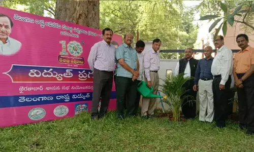 ఎస్పీడీసీఎల్ లో హరితోత్సవం