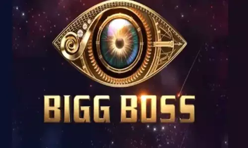 Telugu Bigg Boss 7 : బిగ్ బాస్  7 నుంచి బిగ్ అప్డేట్.. ఏ రోజు నుంచి అంటే?