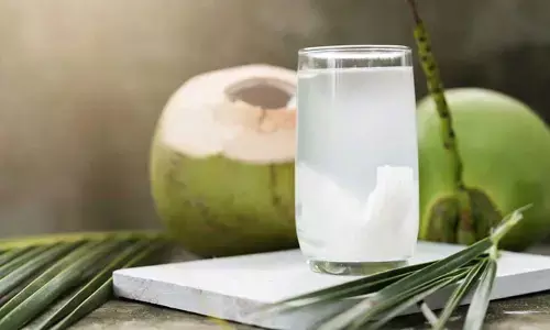 కొబ్బరి కాయలో నీళ్లు, కొబ్బరి ఎలా ఏర్పడుతుంది..? పరిశోధనల్లో తేలిన నమ్మలేని నిజాలు