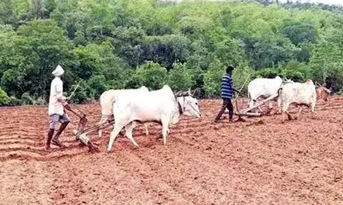 పోడు పట్టాలు అందరికీ దక్కేనా!