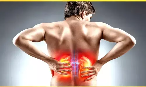 Kidneys: కిడ్నీల్లో రాళ్లను కరిగించే  వంటింటి ఔషధాలు ఇవే...
