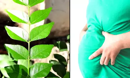 కరివేపాకు నీటితో ఉబకాయానికి చెక్​