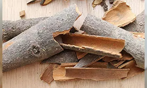Cinnamon tea దాల్చిన చెక్క టీ తాగితే షుగర్ తగ్గుతుందా?