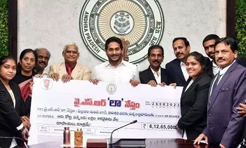 YSR Law Nestham: జూనియర్ లాయర్ల ఖాతాల్లోకి రూ.25 వేలు