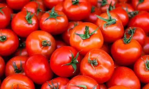 Tomato: ఈ చిట్కాలతో టమాటాలను ఎక్కువ కాలం నిల్వ చేయవచ్చు