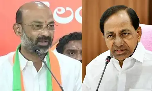 ‘ఎలక్షన్స్ అప్పుడే కేసీఆర్‌కు పీవీ గుర్తొస్తారు’