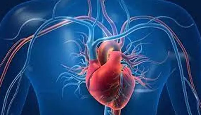 మీ గుండె పదిలమేనా..? గుండె ఆరోగ్యంగా ఉండాలంటే ఏం తినాలి మీ గుండె పదిలమేనా..? గుండె ఆరోగ్యంగా ఉండాలంటే ఏం తినాలి
