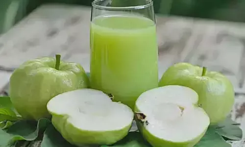 జామ ఆకుల రసంతో ఎన్ని ఆరోగ్య ప్రయోజనాలో తెలుసా?