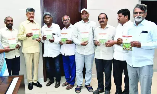 Ap News: ఏపీ రాజధాని అమరావతే