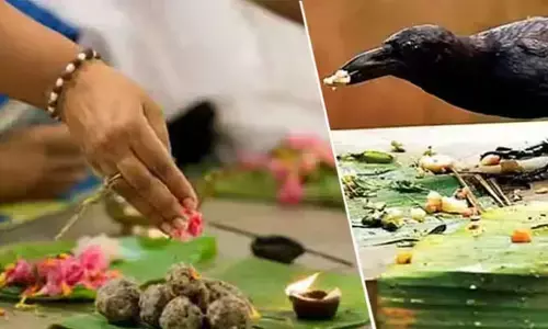కూతురు పిండప్రదానం చేయవచ్చా..? ఆ సమయంలో తెల్ల చీరనే కట్టుకోవాలా..?