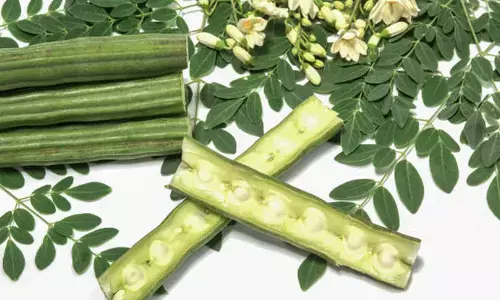Drumstick Benefits : మునగతో ఇన్ని ఆరోగ్య ప్రయోజనాలా..