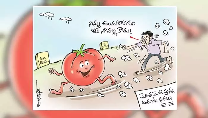 కార్టూన్: భారీగా పెరిగిన టమాటా ధరలు (02-07-2023) కార్టూన్: భారీగా పెరిగిన టమాటా ధరలు (02-07-2023)