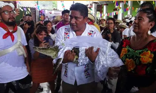 మొసలికి మొగుడు.. క్రొకోడైల్ ను ముద్దుల్లో ముంచి పెళ్లి చేసుకున్న మేయర్..