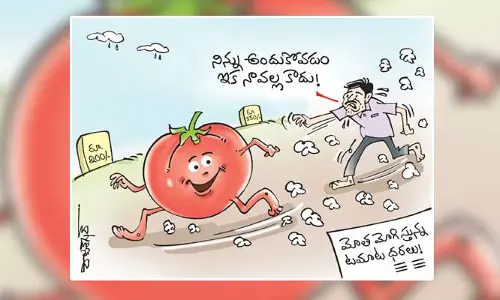 కార్టూన్: భారీగా పెరిగిన టమాటా ధరలు (02-07-2023)