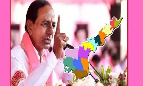 AP BRS: ఏపీలో ఉద్యమం స్టార్ట్.. త్వరలో ఢిల్లీలో కొట్లాట
