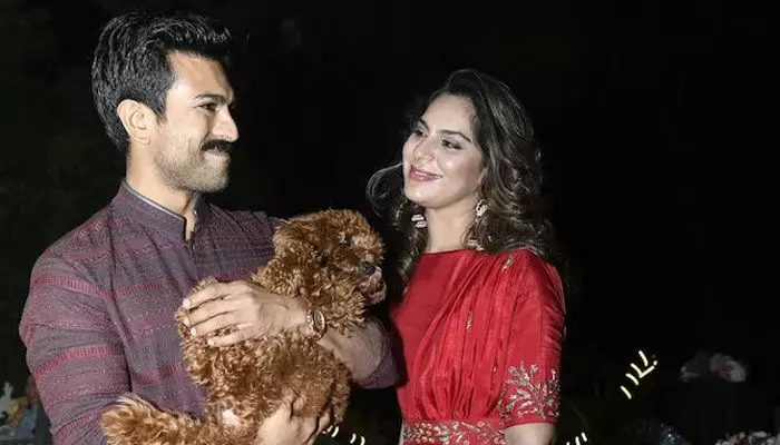 Upasana | Ram Charan : పెంచుకునే పెట్ డాగ్ ధర తెలిస్తే షాక్ అవ్వాల్సిందే? Upasana | Ram Charan : పెంచుకునే పెట్ డాగ్ ధర తెలిస్తే షాక్ అవ్వాల్సిందే?