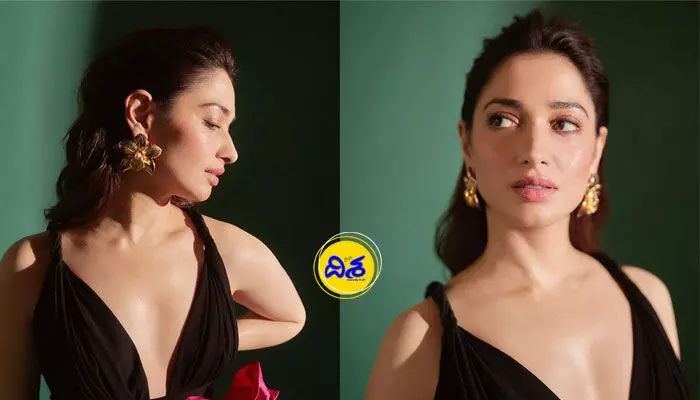 స్టార్ హీరోల కొడుకుల ప్రవర్తనపై తమన్నా కామెంట్స్ వైరల్ స్టార్ హీరోల కొడుకుల ప్రవర్తనపై తమన్నా కామెంట్స్ వైరల్