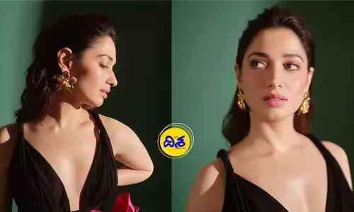 స్టార్ హీరోల కొడుకుల ప్రవర్తనపై తమన్నా కామెంట్స్ వైరల్