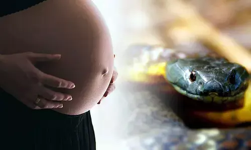 గర్భవతులను పాములు కాటెయ్యవు.. ఎందుకో తెలుసా..?