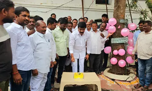 చెట్టుకు పుట్టిన రోజు వేడుక.. కేక్ కట్ చేసిన మంత్రి వేముల..