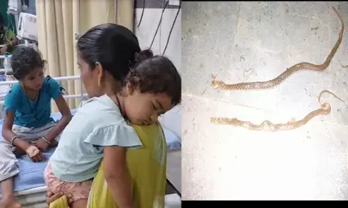 మినీ గురుకులంలో పాముల కలకలం..