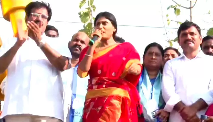 పాలేరు గడ్డ వైఎస్సార్ బిడ్డకు అడ్డా : వైఎస్ షర్మిల పాలేరు గడ్డ వైఎస్సార్ బిడ్డకు అడ్డా : వైఎస్ షర్మిల