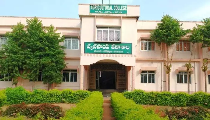 వ్యవసాయ మహిళా డిగ్రీ కళాశాలల్లో అడ్మిషన్లు.. ఈ నెల 31వ తేదీ వరకు గడువు వ్యవసాయ మహిళా డిగ్రీ కళాశాలల్లో అడ్మిషన్లు.. ఈ నెల 31వ తేదీ వరకు గడువు