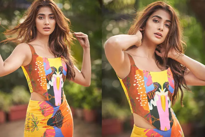 మామను వదిలేసి అల్లుడ్ని తగులుకున్న పూజా హెగ్డే.. వర్కౌట్ అవుతుందా? మామను వదిలేసి అల్లుడ్ని తగులుకున్న పూజా హెగ్డే.. వర్కౌట్ అవుతుందా?