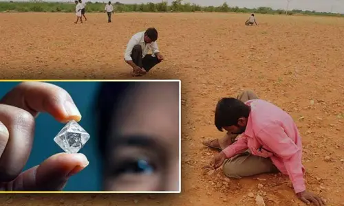 రూ.300 కూలీకి వెళితే రూ.40 లక్షల వజ్రం దొరికింది?