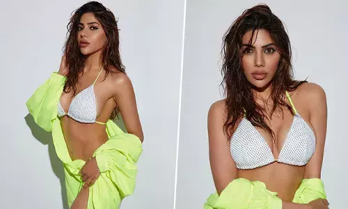 Nikki Tamboli : షర్ట్ విప్పి మరి ఫోటోలకు ఫోజులిచ్చిన నిక్కీ తంబోలి..