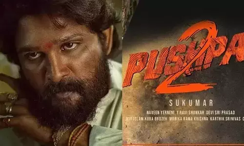 Pushpa 2: The Rule : మళ్లీ ఆగిపోయిన ‘పుష్ప 2’ షూటింగ్