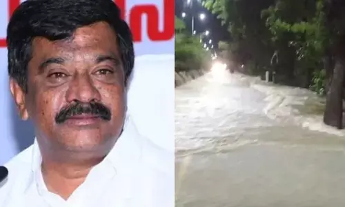 Telangana weather update: నీట మునిగిన మంత్రి సొంత గ్రామం (వీడియో)
