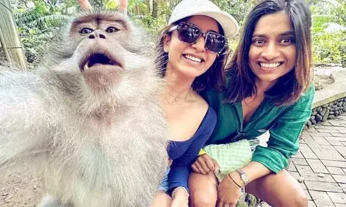 నాటీ మంకీ.. సమంతతో సెల్ఫీకి పోజులిచ్చింది.. సెలెబ్రిటీ అయిపోయింది..