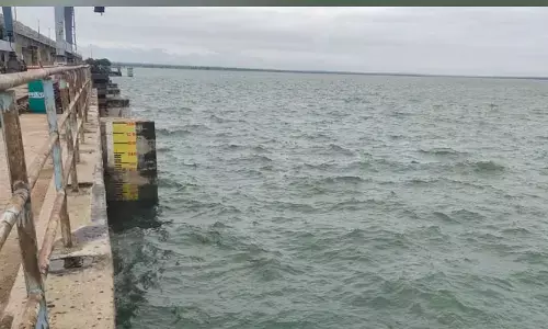 Singur Dam : నీటితో కళకళలాడుతున్న సింగూరు ప్రాజెక్టు..