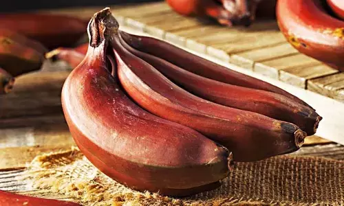 Blood Pressure: హైబీపీ కంట్రోల్ అవ్వాలంటే  ఈ పండు తినాల్సిందే?