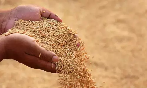 ధాన్యం సేకరణలో ద్వంద్వ వైఖరి ఎందుకు?