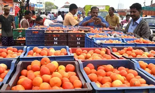 Tomato prices : టమటా @ 250.. ఢిల్లీలో చుక్కలు చూపిస్తున్న ధరలు