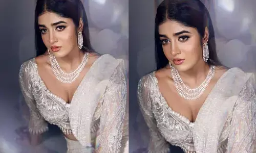 Dimple Hayathi : హాట్ అందాలతో మేస్స్మరైజ్ చేసిన డింపుల్ ...
