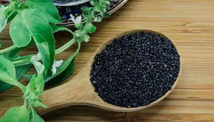 Sabja Seeds : నీటిలో నానబెట్టిన సబ్జా గింజలు తింటే ఫలితం ఉంటుందా? Sabja Seeds : నీటిలో నానబెట్టిన సబ్జా గింజలు తింటే ఫలితం ఉంటుందా?