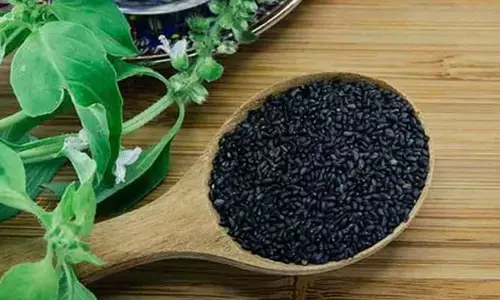 Sabja Seeds : నీటిలో నానబెట్టిన సబ్జా గింజలు తింటే ఫలితం ఉంటుందా?