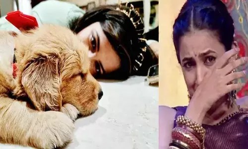 పెళ్లి విషయంపై స్పందించి.. బోరున ఏడ్చేసిన నిహారిక(వీడియో వైరల్)