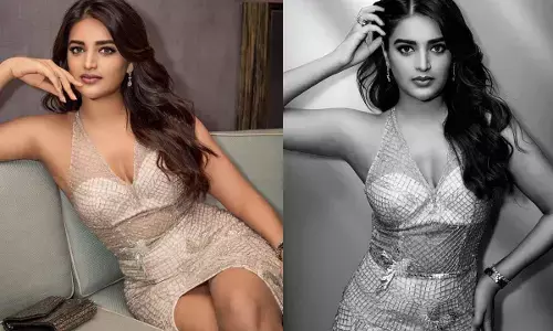 స్టార్ క్రికెటర్‌తో  Nidhhi Agerwal సీక్రెట్ రిలేషన్