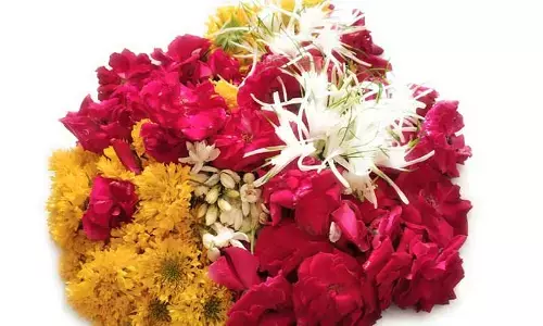 పూలను తుంచి పూజ చేస్తున్నారా.. అయితే ఈ విషయాలు తెలుసుకోండి