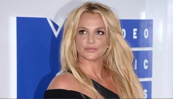 Britney Spears :విడాకులకు ఓకే కానీ నాకు కుక్క కావాలి.. నెట్టింట చర్చనీయాంశంగా మారిన సింగర్ పద్ధతి