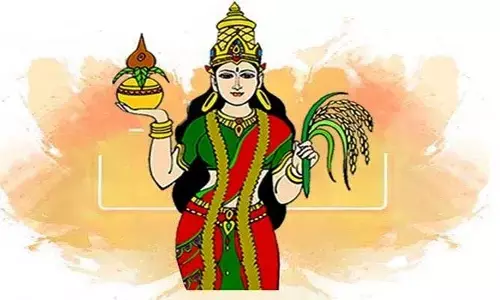 తెలుగు పరిరక్షణ మన బాధ్యత!