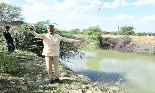 సీఎం వైఎస్ జగన్‌కు చంద్రబాబు సెల్ఫీ ఛాలెంజ్