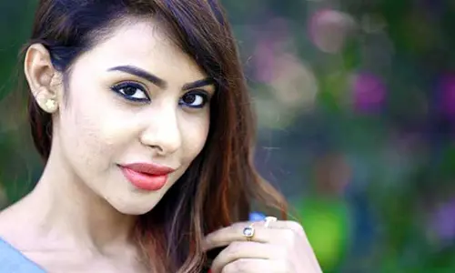 Sri Reddy ని అది చూపించమని అడిగిన నెటిజన్.. మాస్ వార్నింగ్ ఇచ్చిన నటి