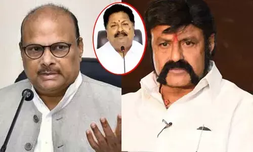టీడీపీని కబ్జా చేసేందుకే బాలయ్య, యనమల ప్రయత్నం..!