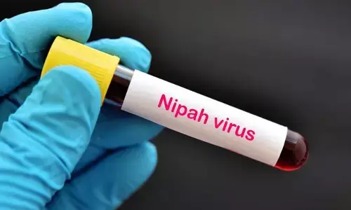నిఫా వైరస్ కలకలం.. 6 జిల్లాల్లో హై అలర్ట్