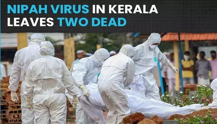 Nipah Virus: నిఫా వైరస్ కలకలం.. మినీ లాక్ డౌన్ దిశగా కేరళ Nipah Virus: నిఫా వైరస్ కలకలం.. మినీ లాక్ డౌన్ దిశగా కేరళ